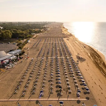 Cozy Flat With Terrace Apartment *
